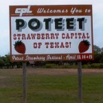 Strawberry Capital of Texas